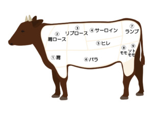 牛の部位説明図