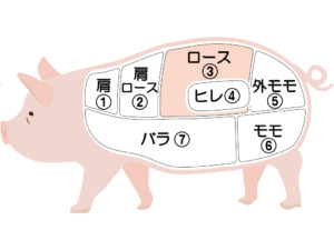豚肉部位説明図