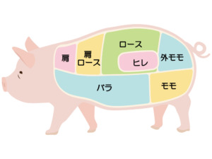 豚肉各種部位説明図