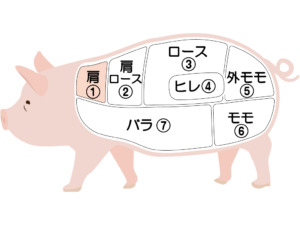 豚肉部位説明図